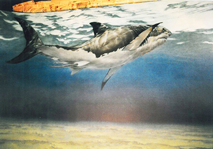 Mural detail segment of 
a Megladon Shark exhibit
