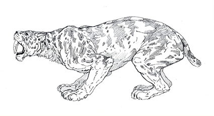 Saber Tooth — Brush and Ink Book Illustration