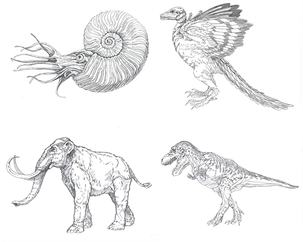Paleontology - Pencil on Paper Drawing