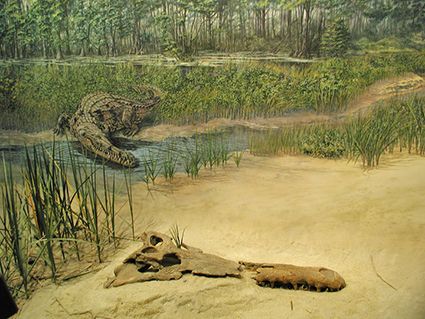 Prehistoric Crocodile Diorama Exhibit